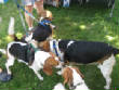 woofstock/IMG_1220.JPG