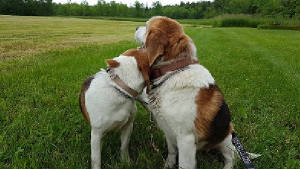bashpics/ClaraBowAndLionel.jpg